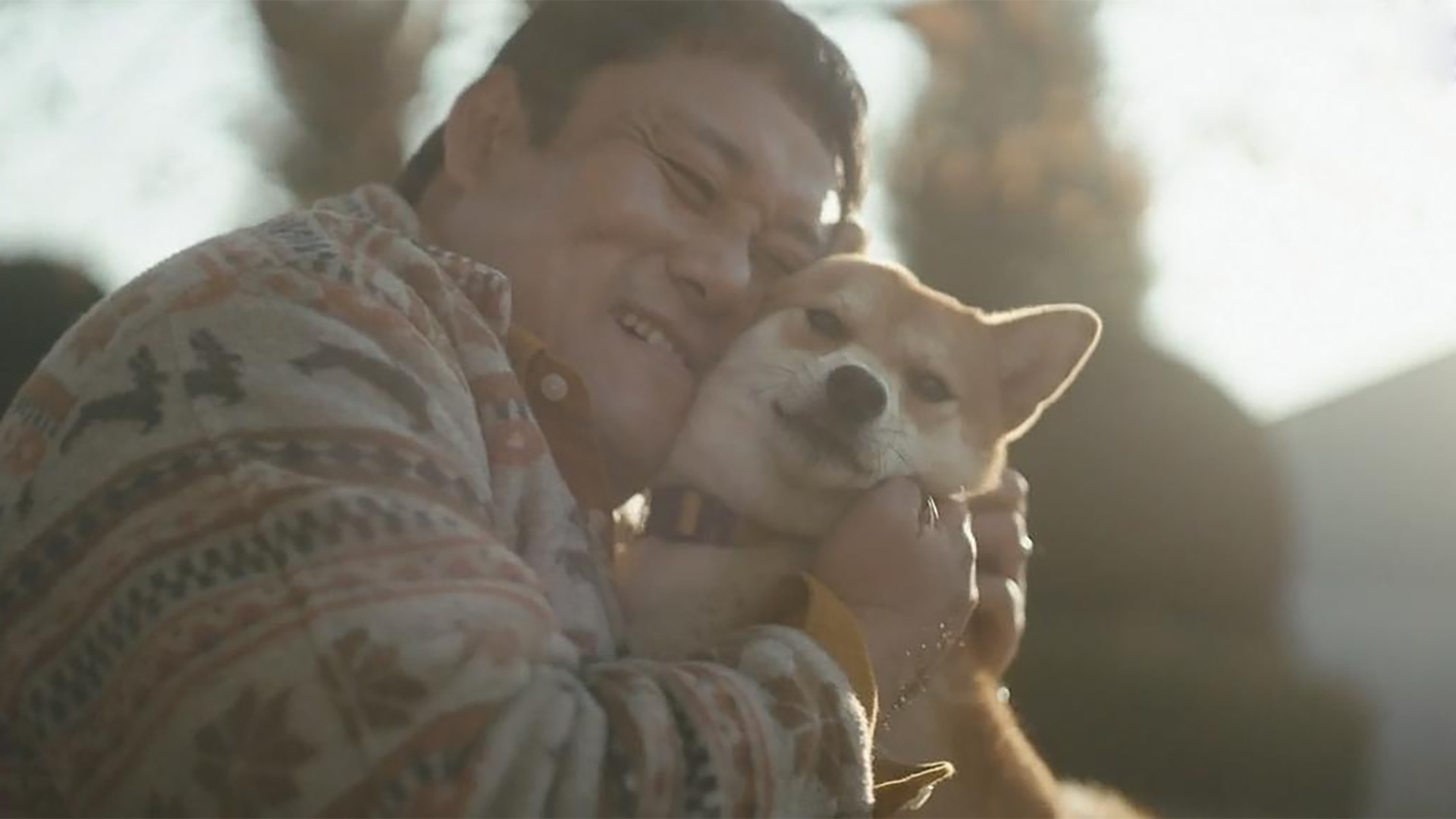 柴犬公园-封面1