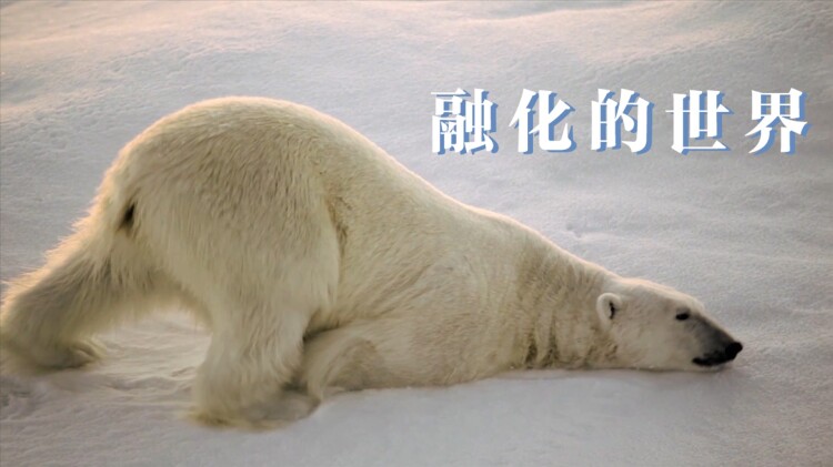 时光之轮第一季