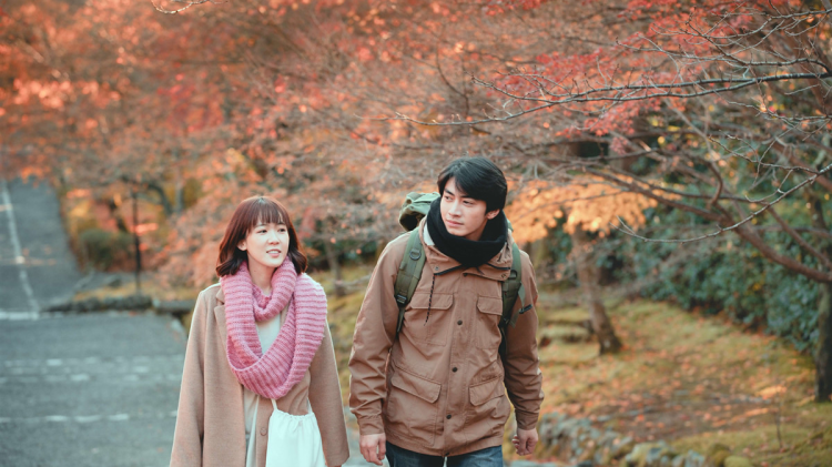 光露营就很忙了