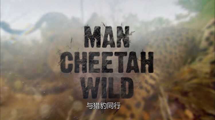 女儿被害后县令夫人杀疯了