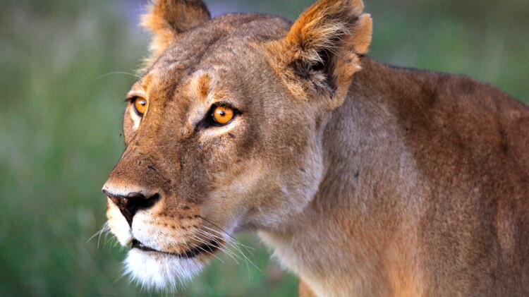 单身即地狱第三季