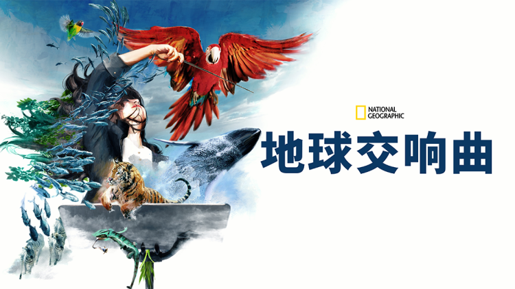 哎呀太子妃来打工