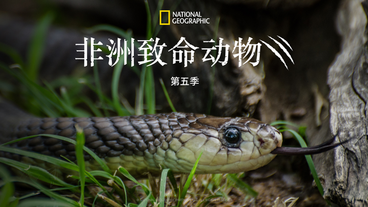 明日之子第三季