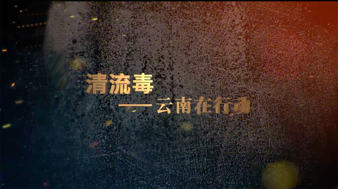 清流毒 云南在行动-封面1
