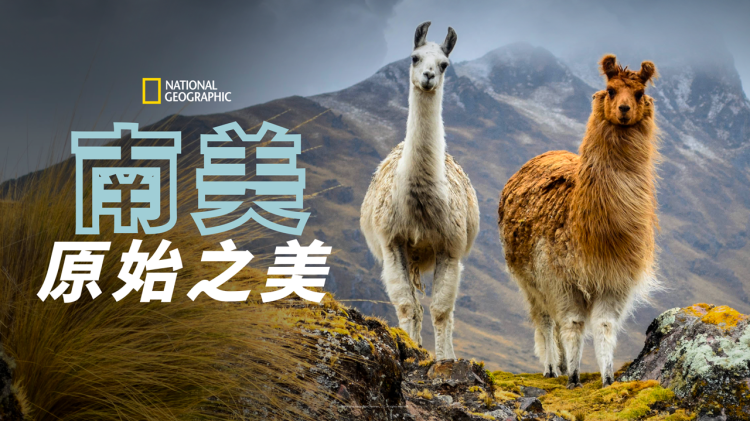 PC套件下载的渠道与注意事项