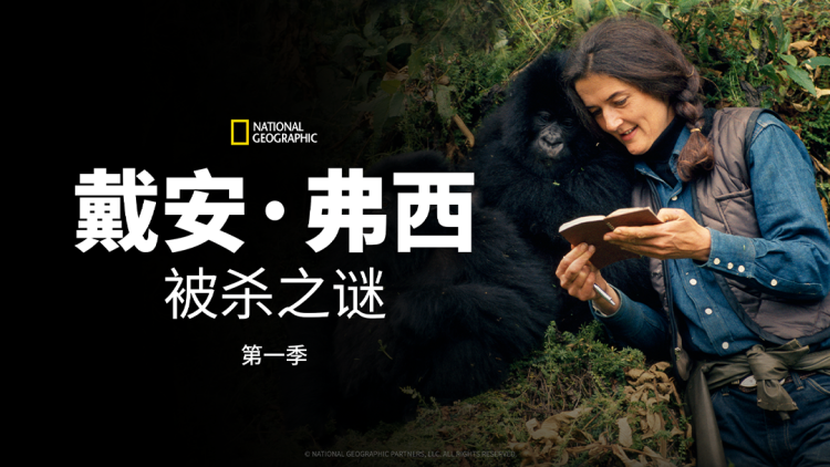 娇娇甜妻被全家追着宠