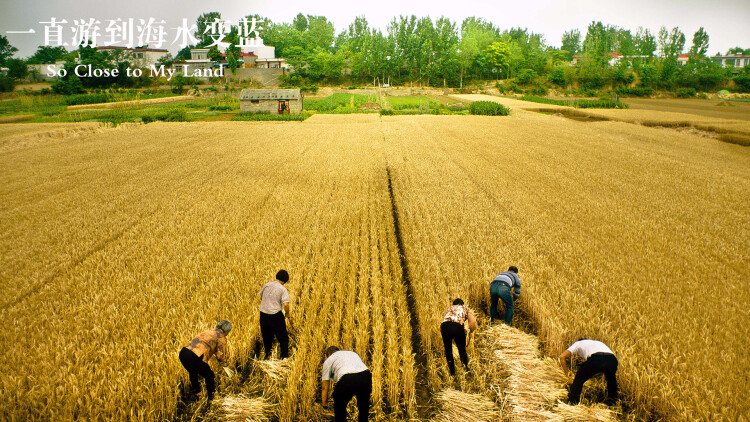少林女足之球王妈妈
