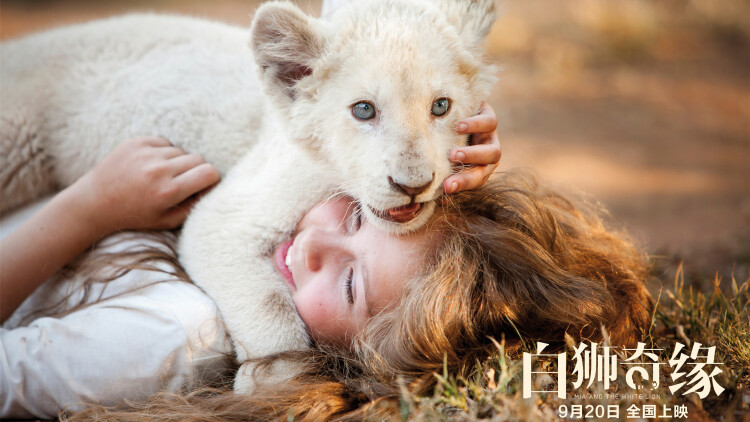 千骗万话：成长与自我觉醒