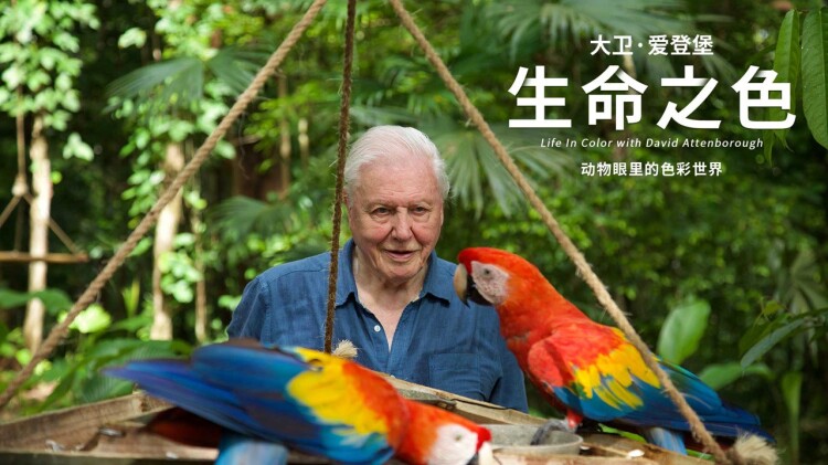 全职妈妈面临的挑战——如何平衡家庭与工作的需求？