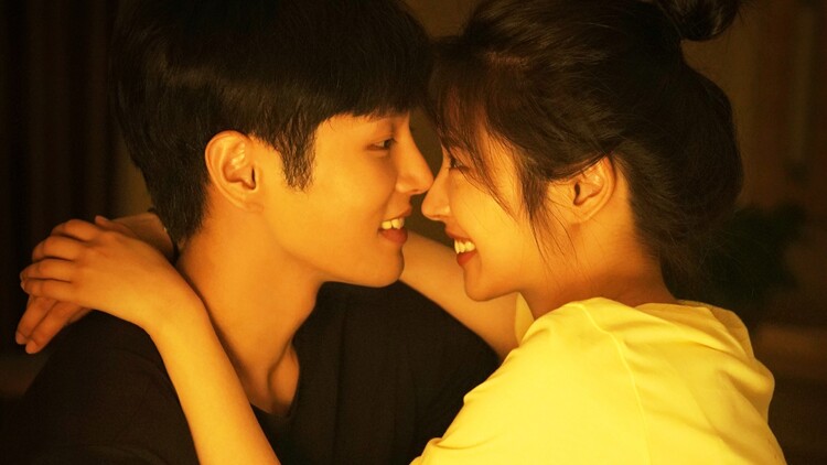 游龙归乡的情感纠葛