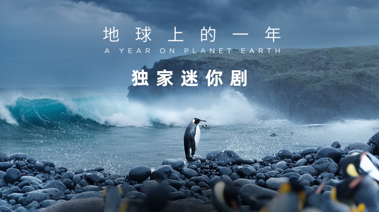 地球上的一年 独家迷你剧-封面1
