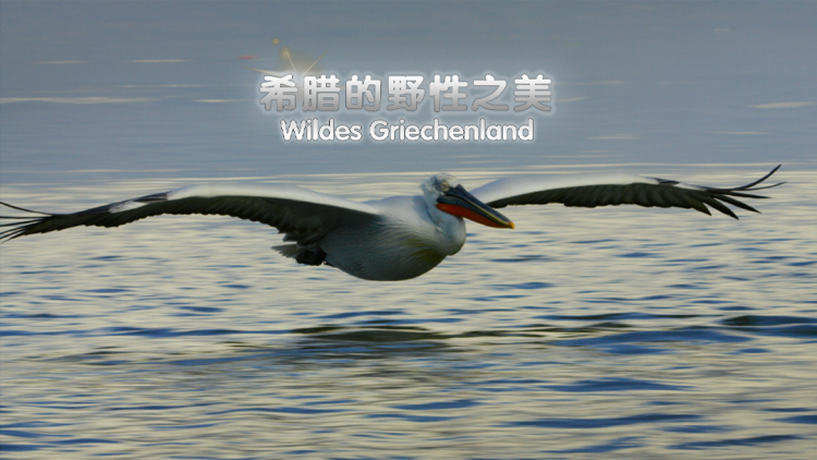 义薄云天之从头再来