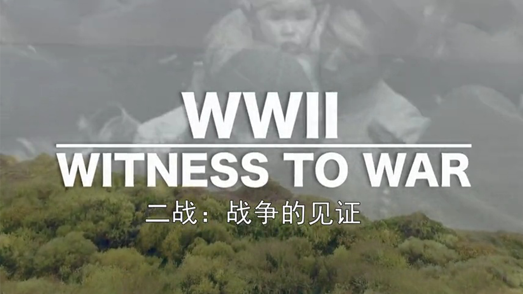 二战：战争的见证-封面1