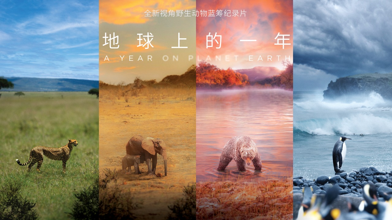 地球上的一年[英语版]