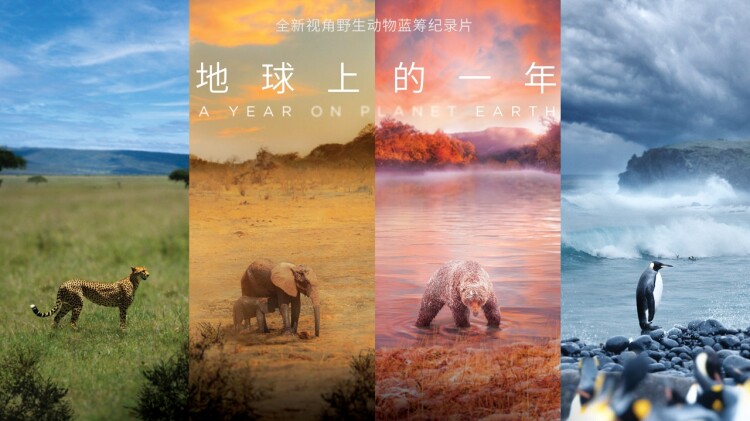 死对头破产后被我包养了