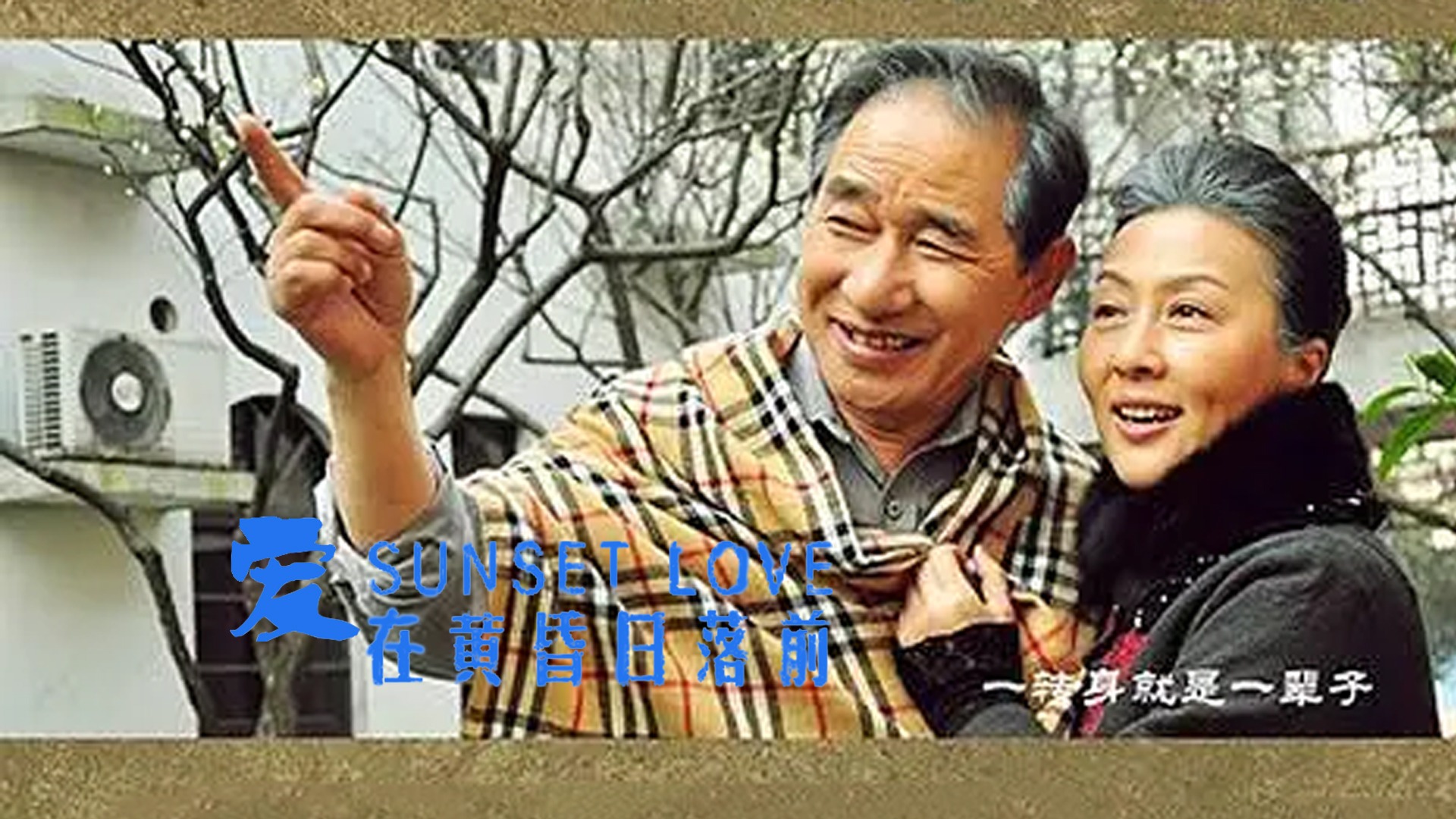爱在黄昏日落前