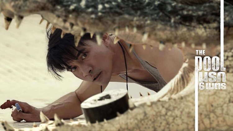 拜托了不速之客