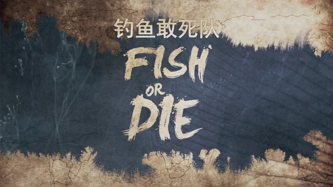 钓鱼敢死队-封面1