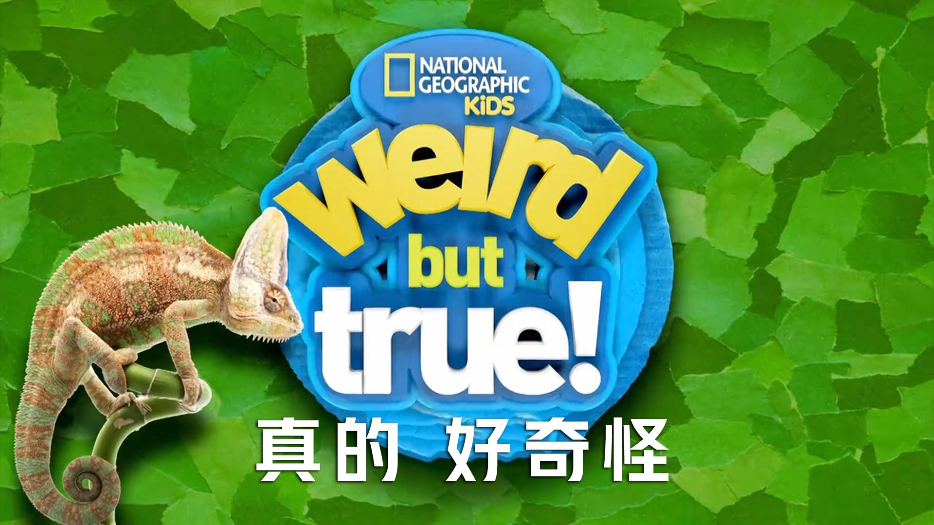 真的 好奇怪 第2季-封面1