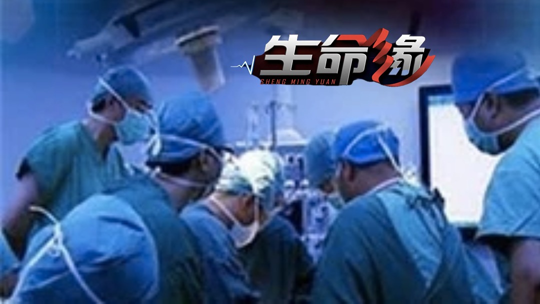 生命缘 第9季-封面1