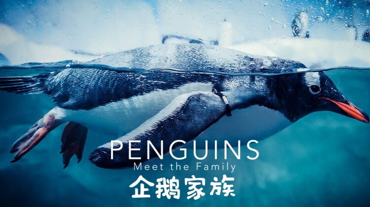 与SnowMan同行——初次相遇的激动与期待