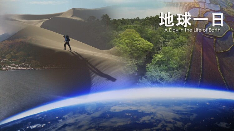 不听人话的婆婆终于后悔了