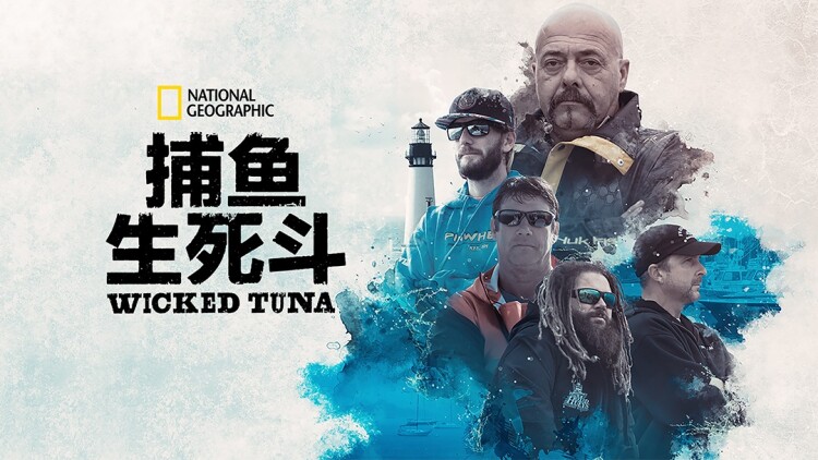 吾心自有光明月