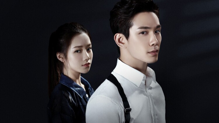 《珠宝大盗神偷出马》_免费在线观看