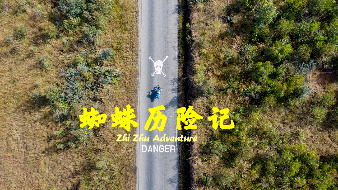 蜘蛛历险记-封面1
