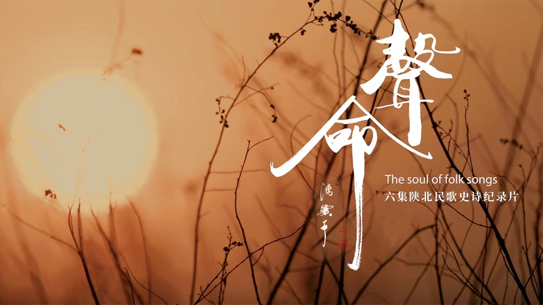 声命-封面1