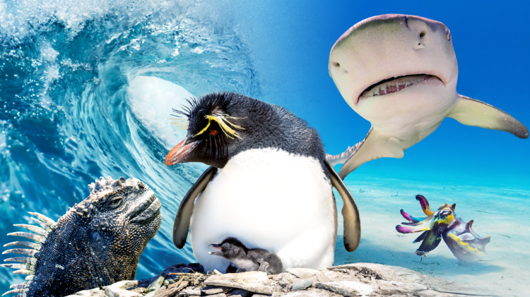 《母跪儿天不容》震撼人心的结局