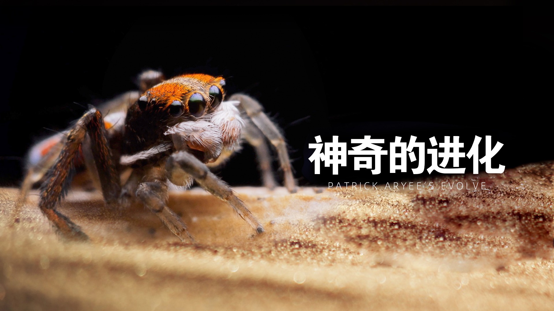 神奇的进化
