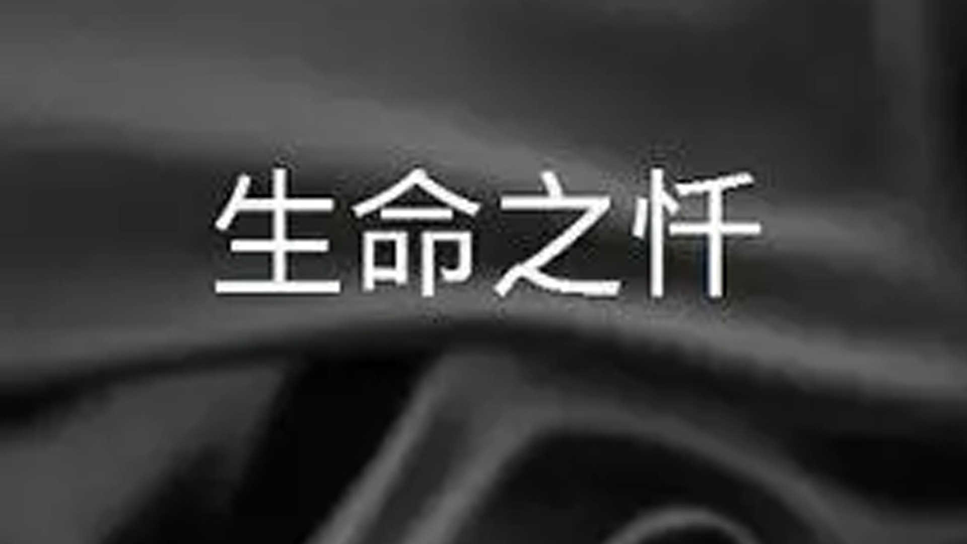 生命之忏-封面3