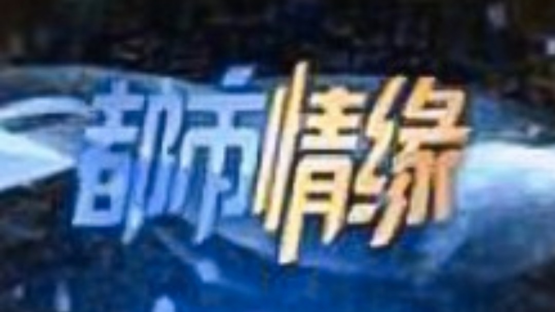 都市情缘