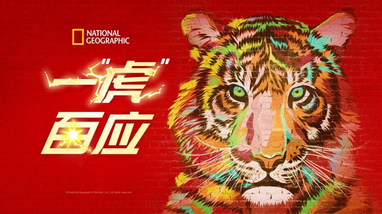 空降利刃网络版