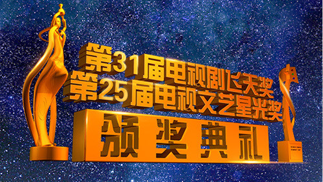 第31届电视剧“飞天奖”暨第25届电视文艺“星光奖”