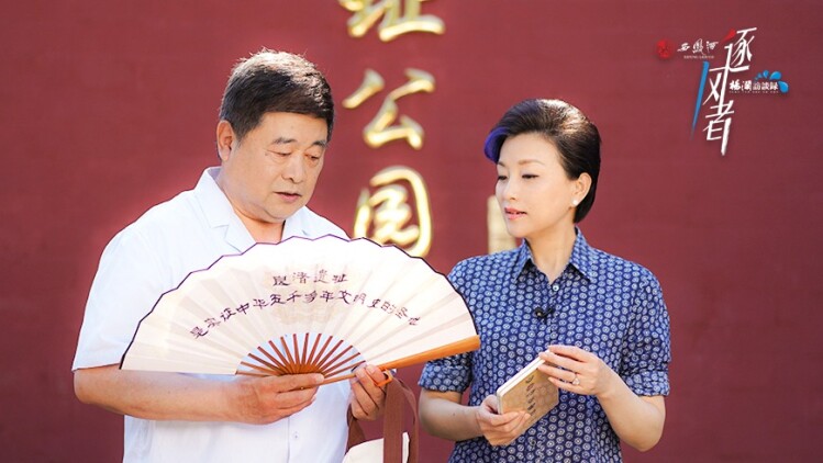 如何选择合适的路由协议？