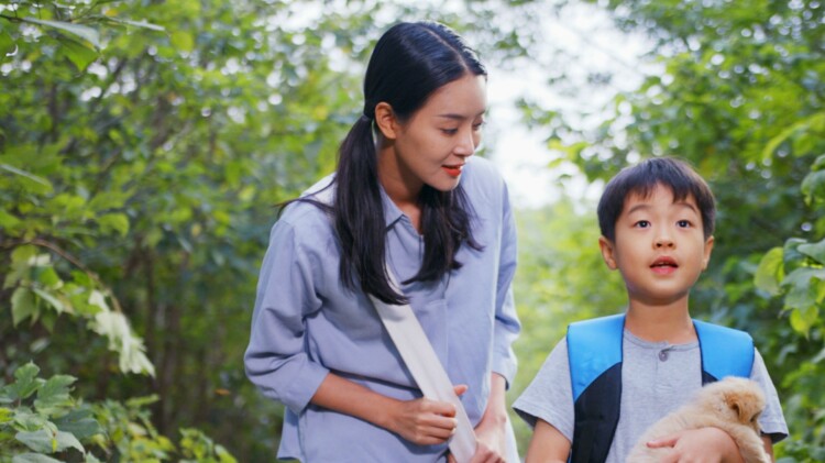 《你好亲爱的》的误会与波折