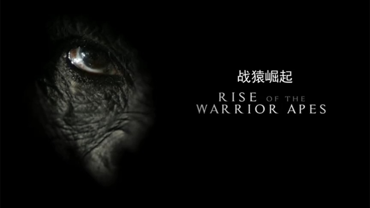 农门悍妻纨绔世子甜又撩