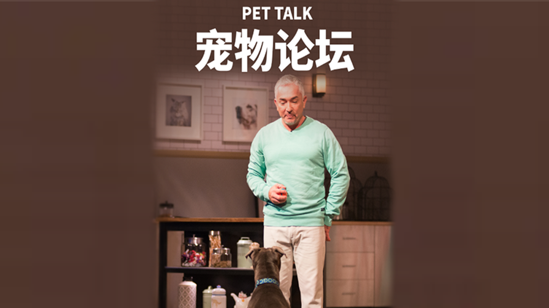 宠物论坛 第1季-封面1