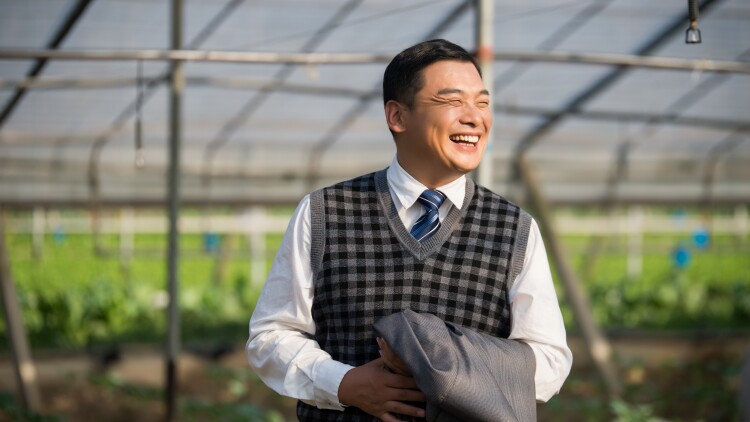 《凌霄枝头上》最新选集