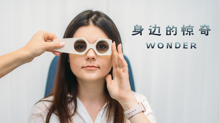 重生之浪子回头