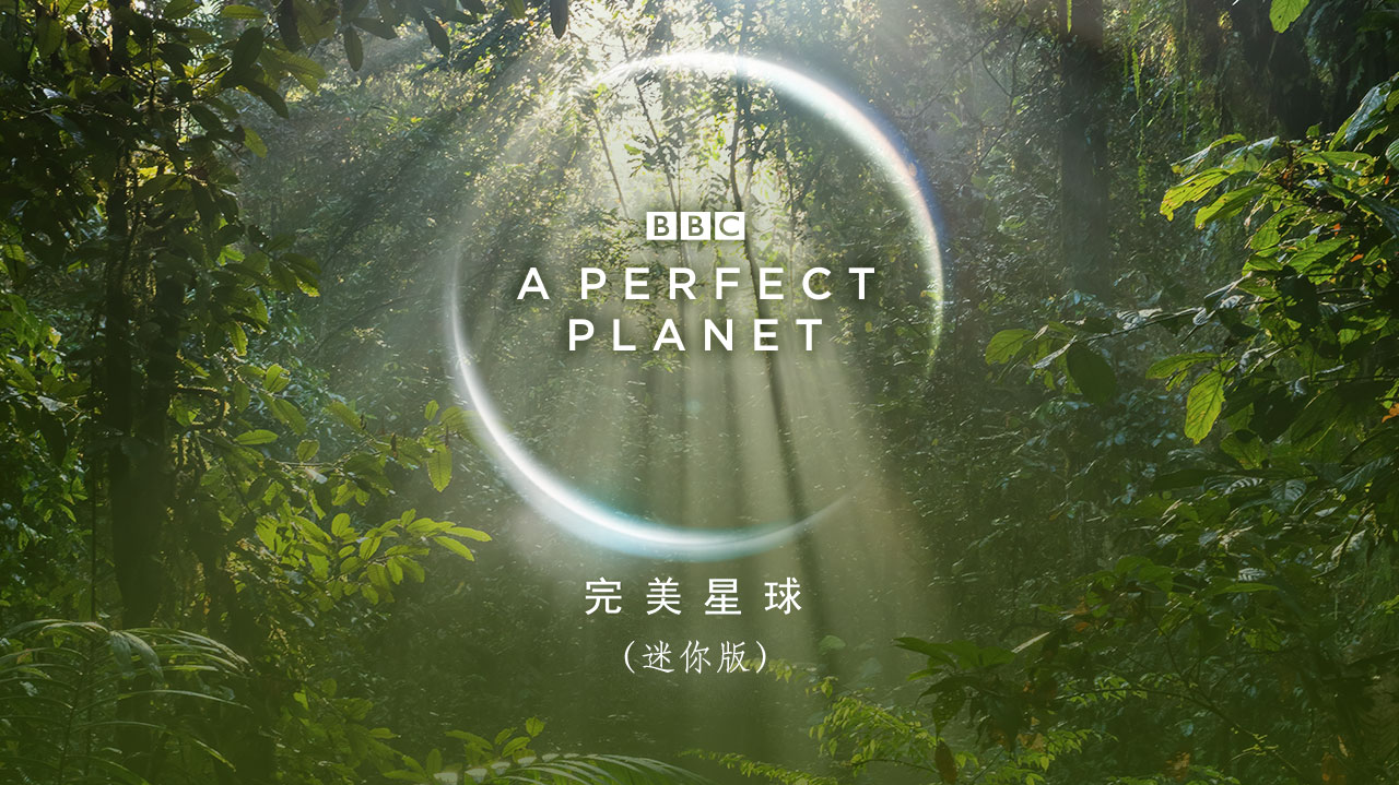 完美星球（迷你版）-封面1
