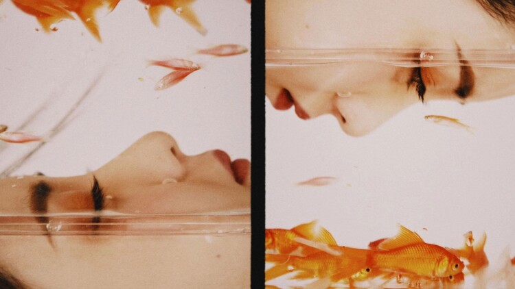 手机上使用QQ与等级系统的关系