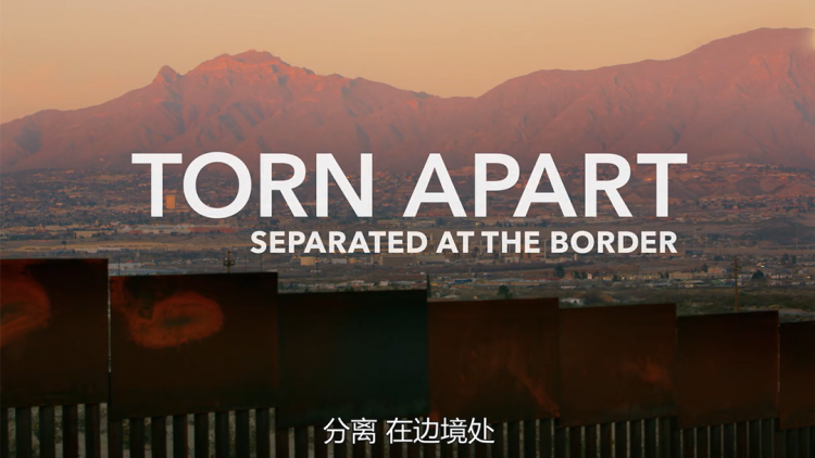 禁止入內的鼹鼠：友谊与信任的建立