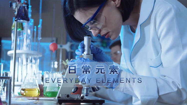 《四岁龙宝定乾坤》圆满结局与乾坤定命