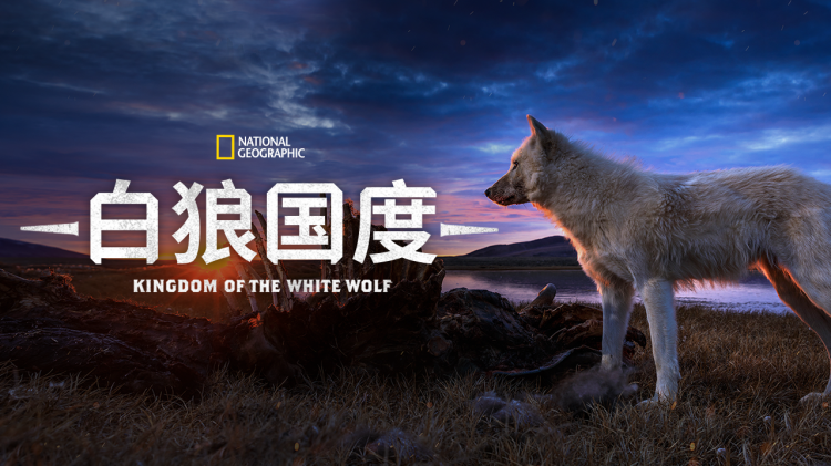 金山不如男儿脊