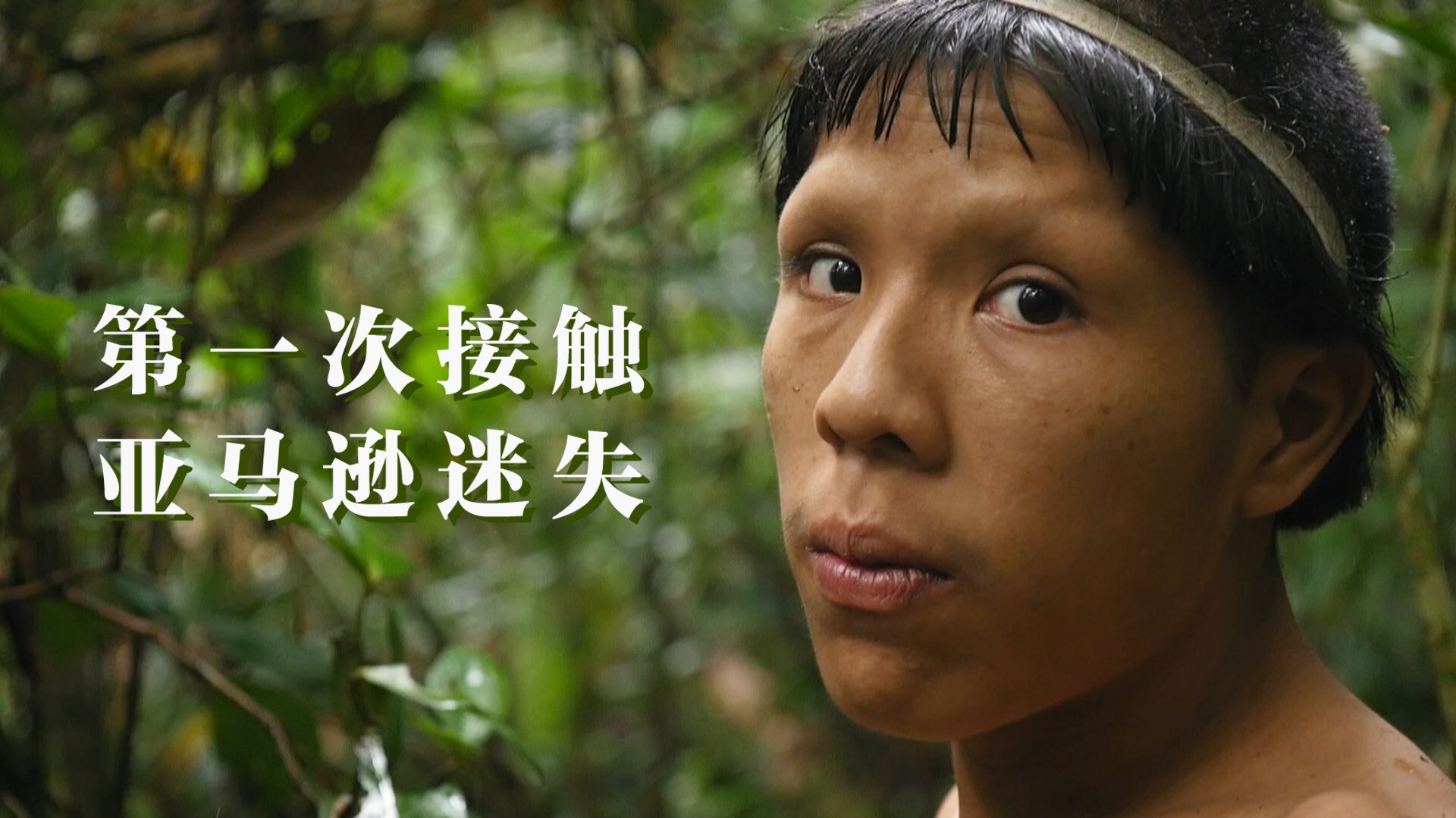 第一次接触：亚马逊迷失部落-封面1