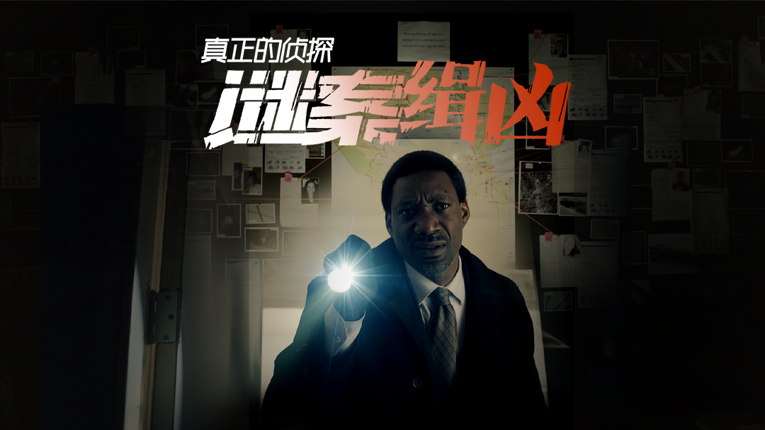 真正的侦探：谜案缉凶-封面1