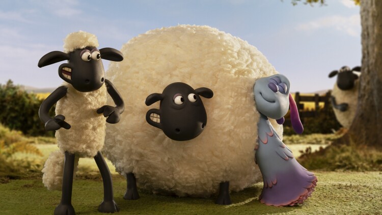 我家聚宝盆略胜一筹